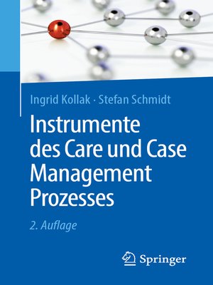 cover image of Instrumente des Care und Case Management Prozesses